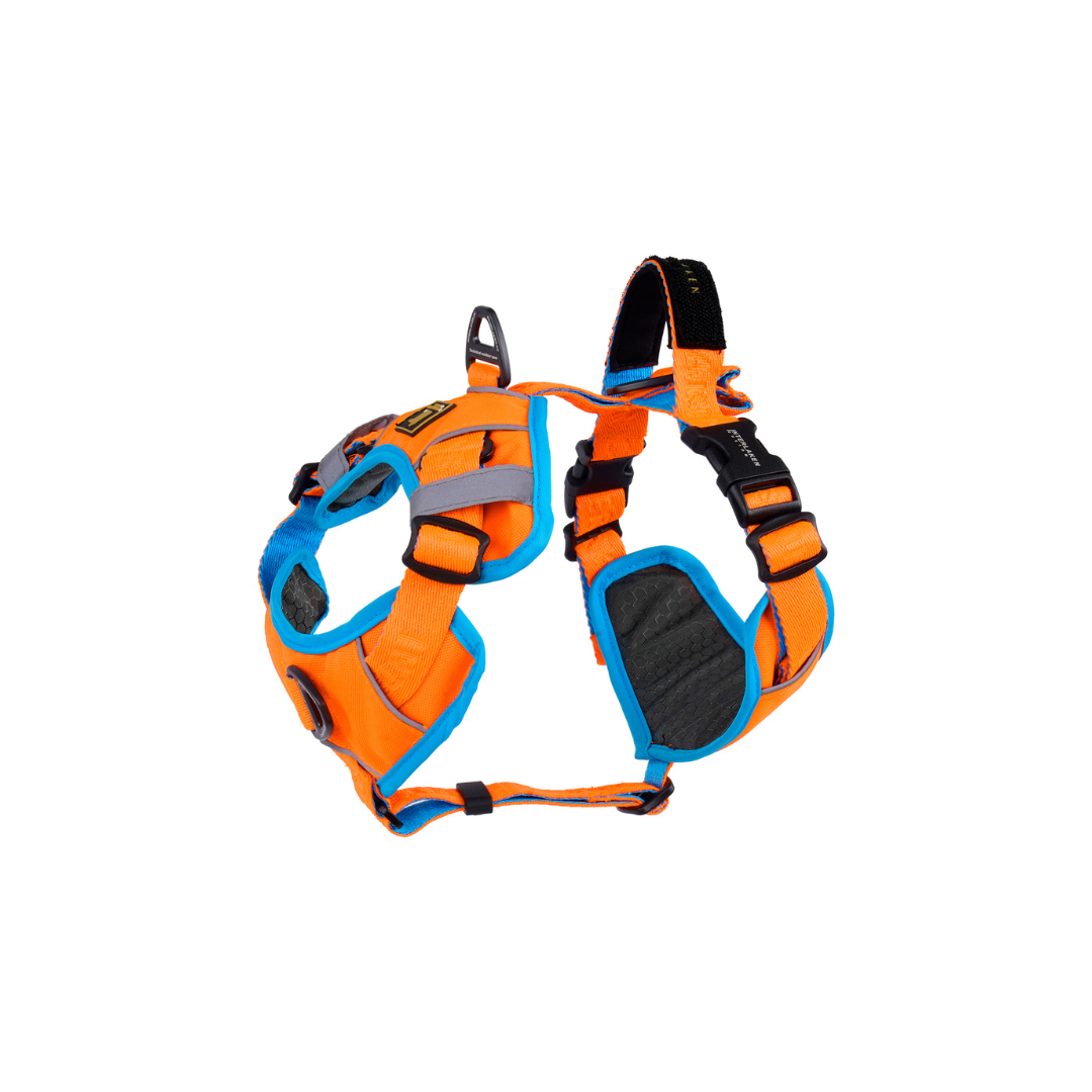 INTERLAKEN No-Pull Padded Dog H-Harness