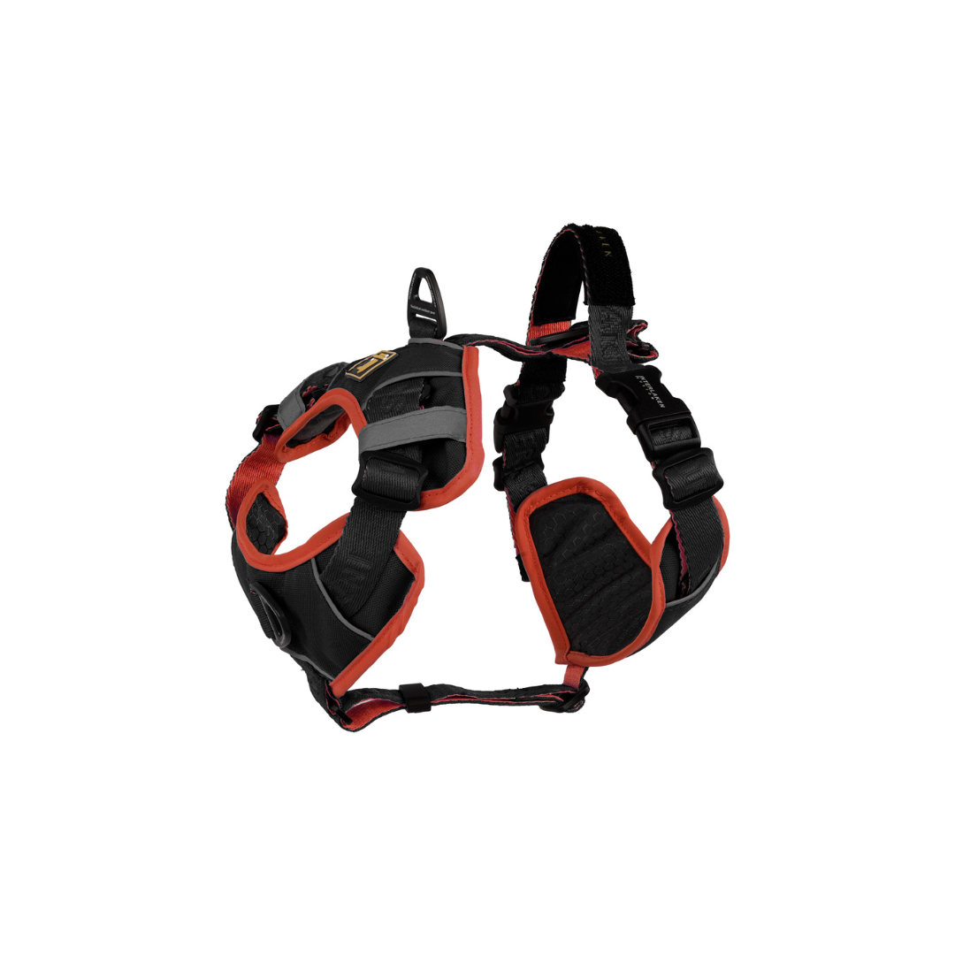 INTERLAKEN No-Pull Padded Dog H-Harness