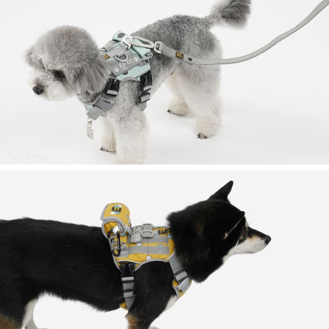 INTERLAKEN No-Pull Air Mesh Harness