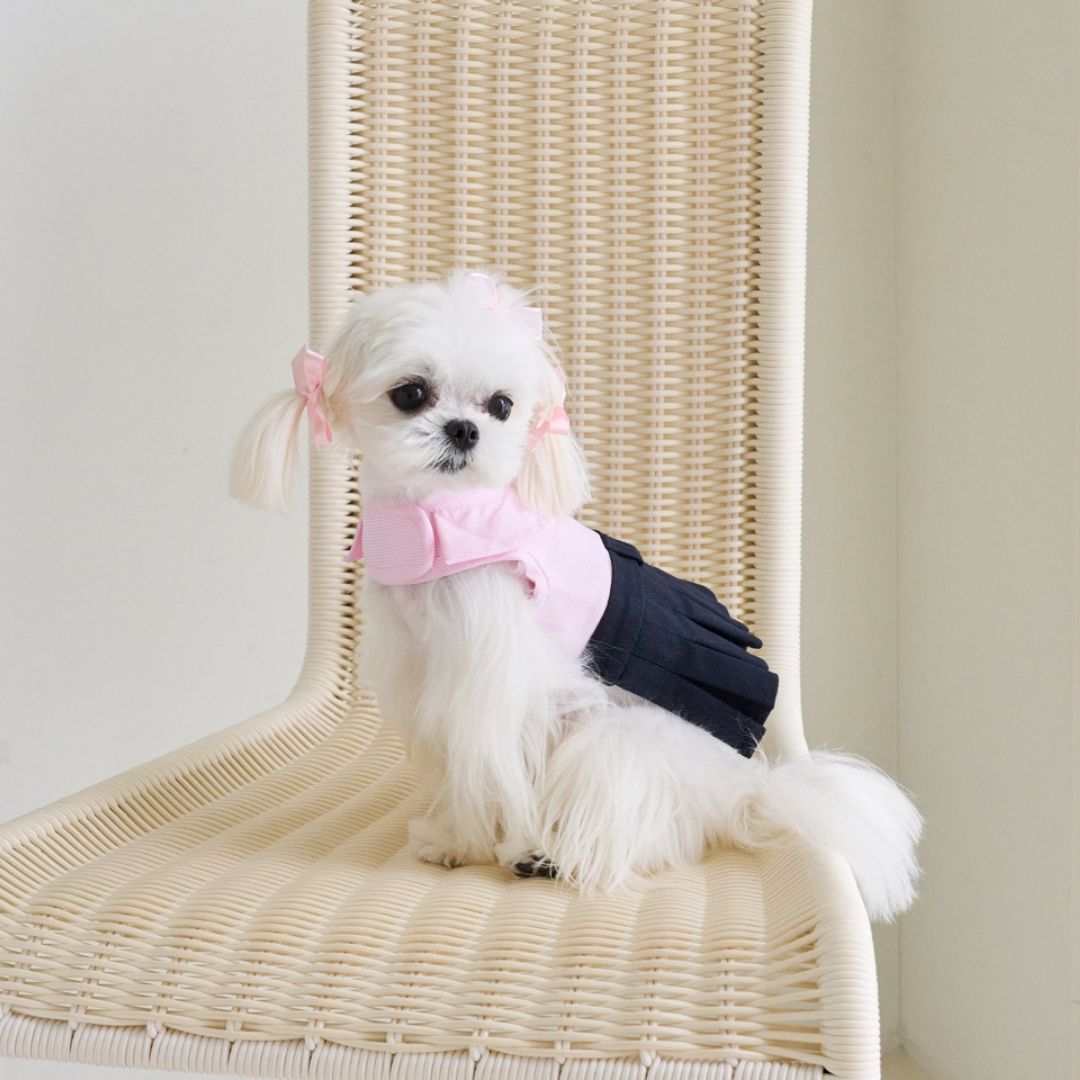 Preppy Dress Harness
