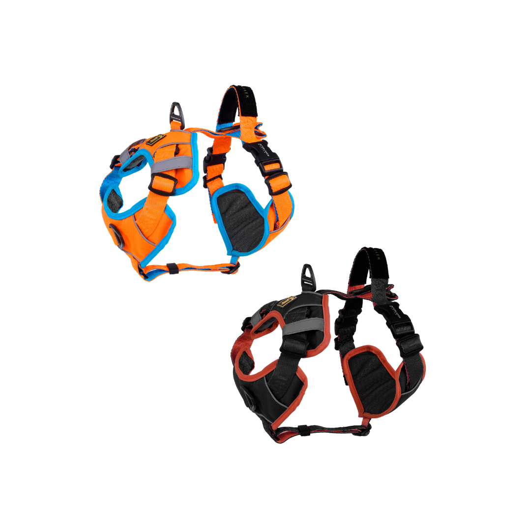 INTERLAKEN No-Pull Padded Dog H-Harness