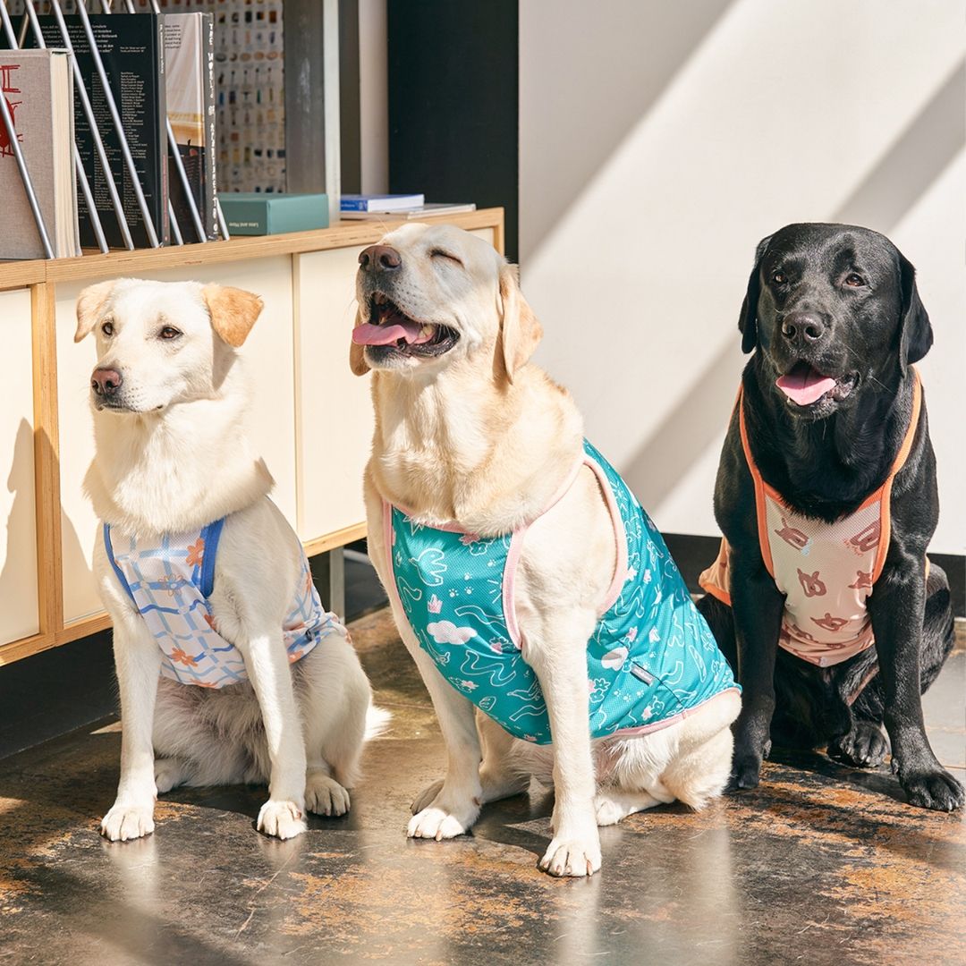 Cooling T-shirt Flower | Insect Shield