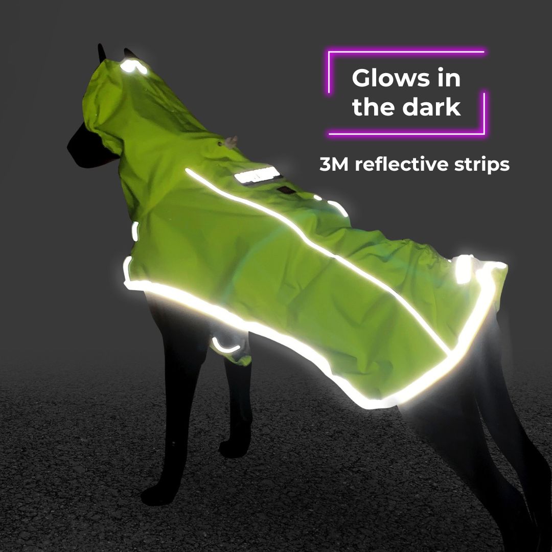 INTERLAKEN Perfect Fit Reflective Dog Raincoat