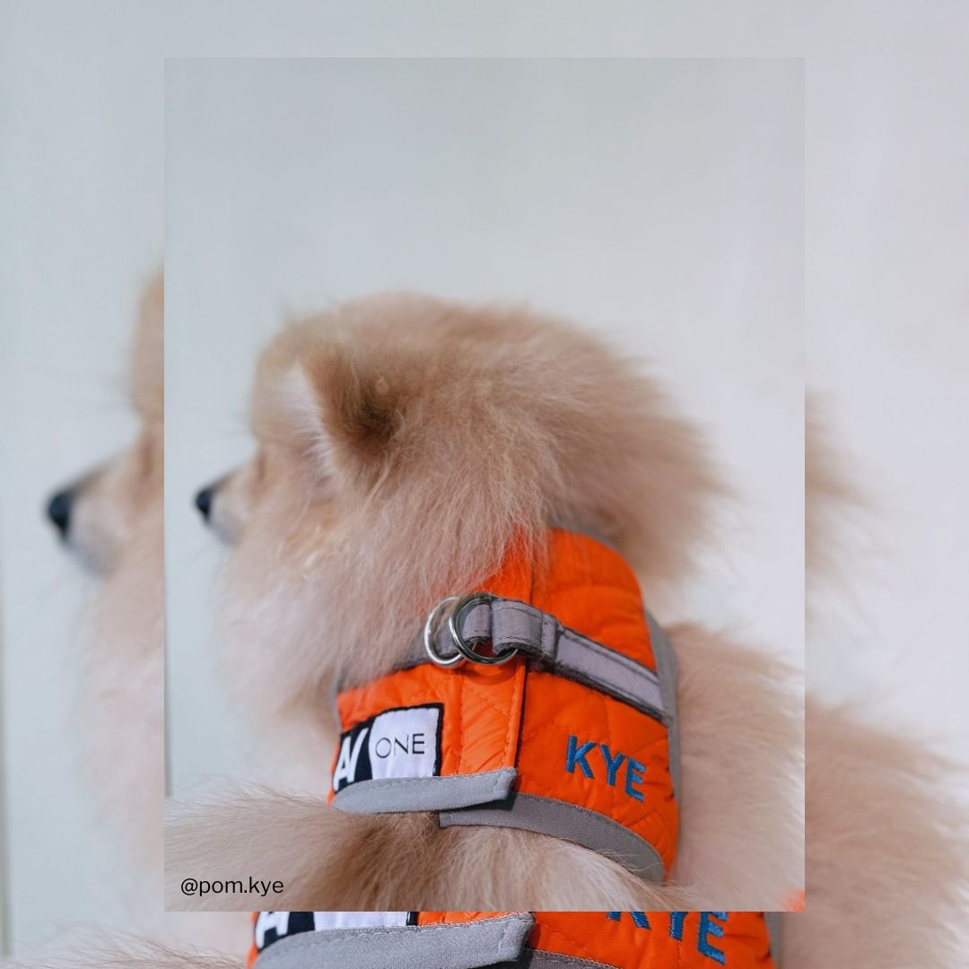 WAUDOG AiryVest ONE Harness