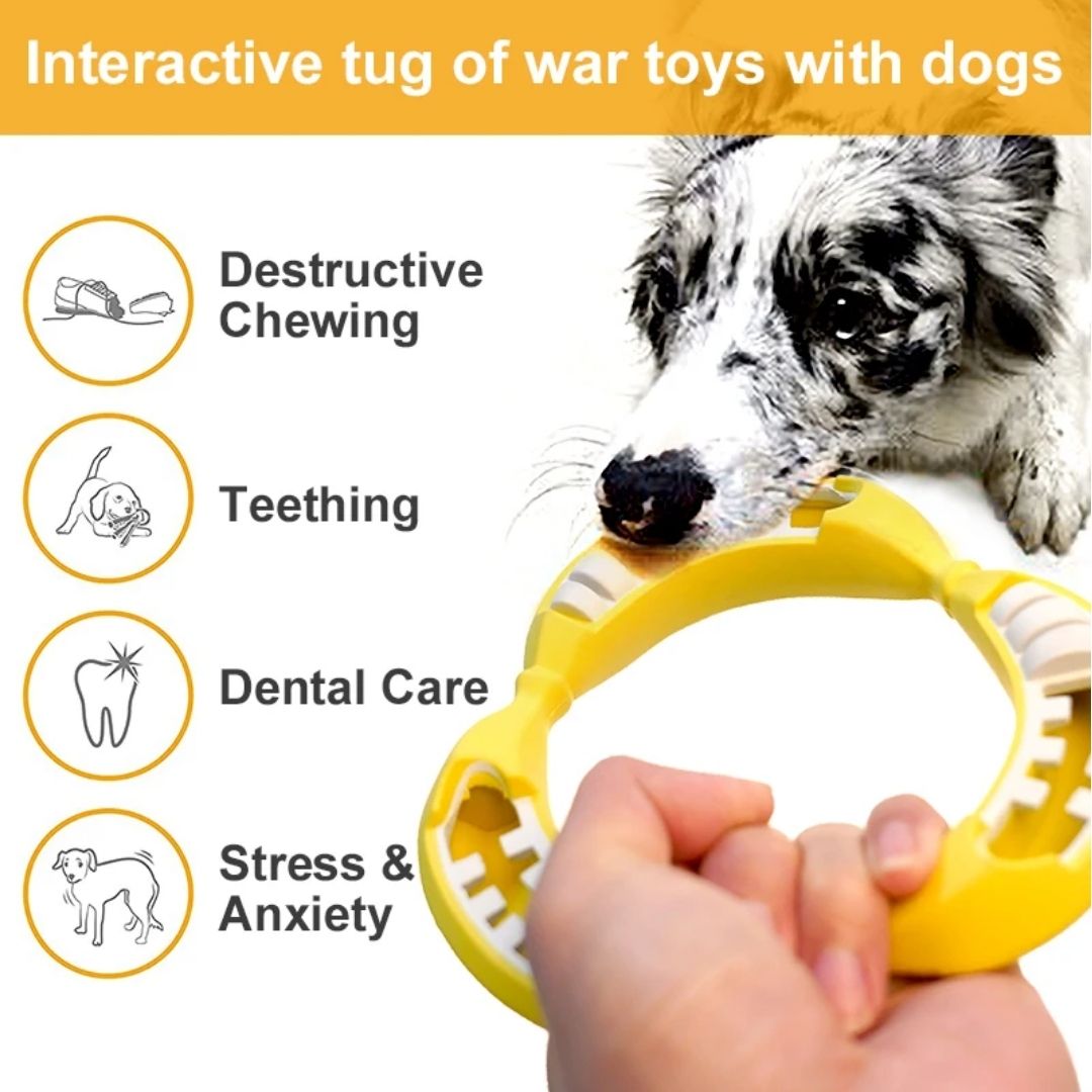 Banana Chew Toy | Treats Dispenser
