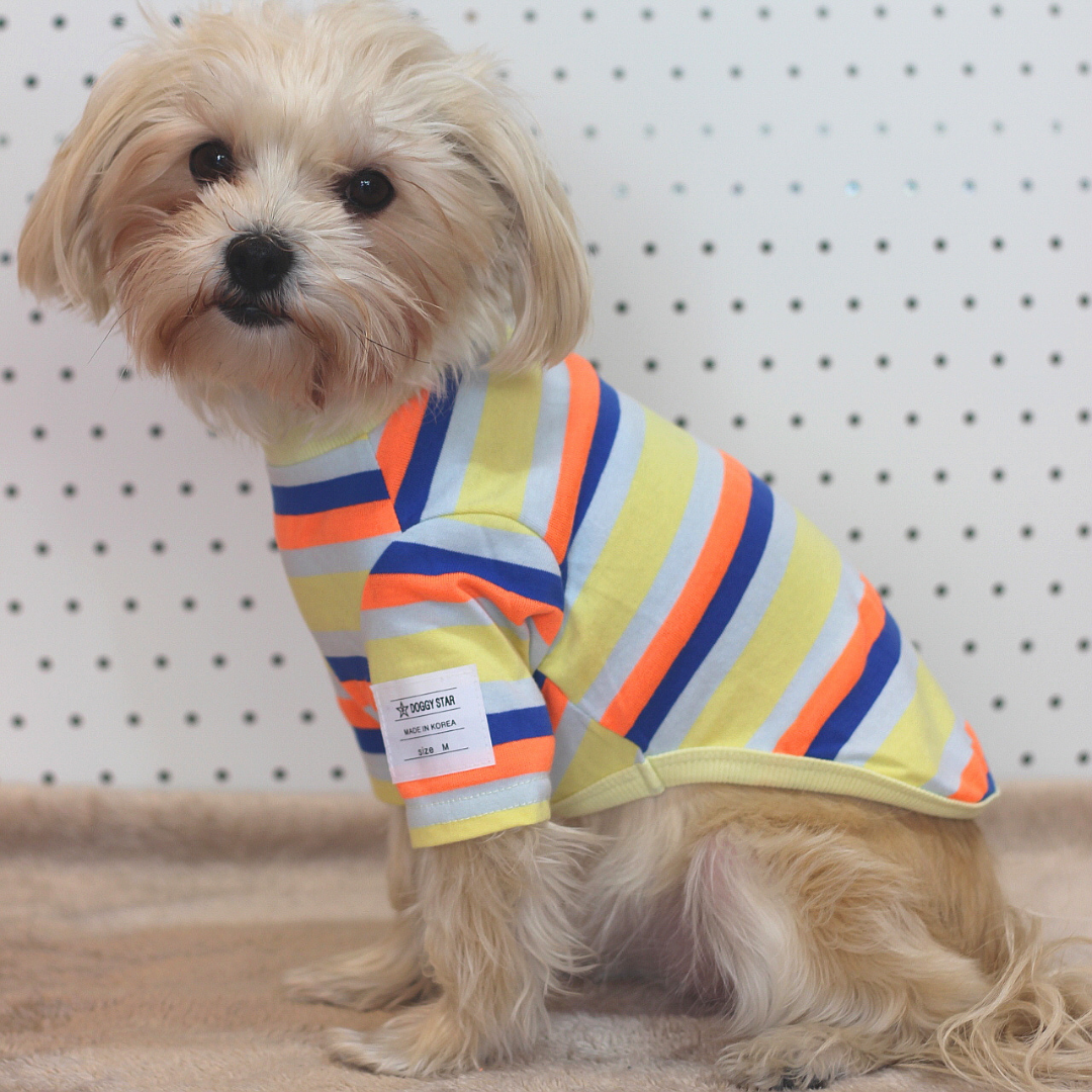 Dog wearing Candy Stripe T-shirt