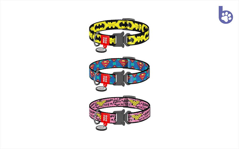 Collars with Design For Fashion