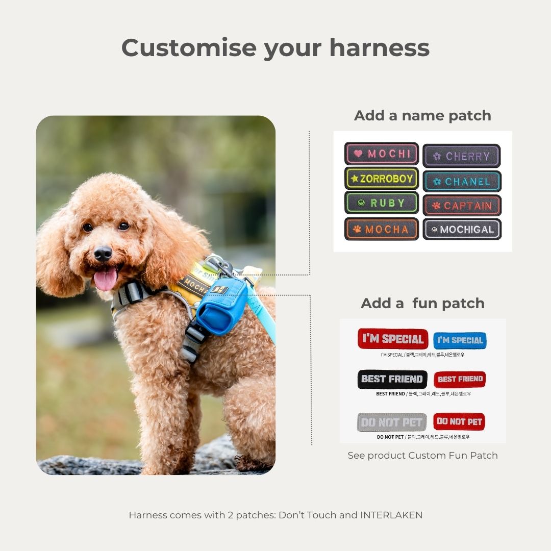 No-Pull Air Mesh Harness