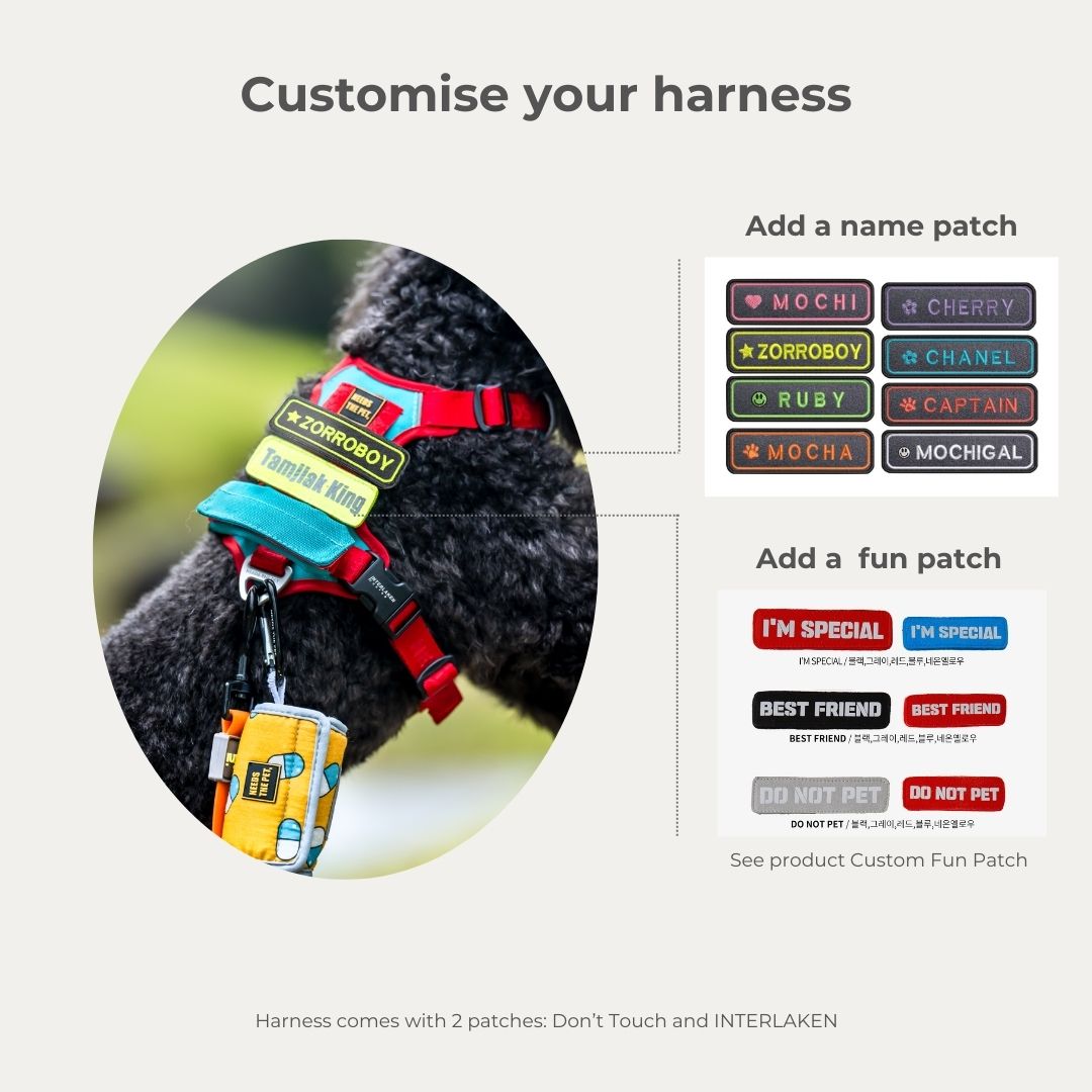 No-Pull Slim Harness