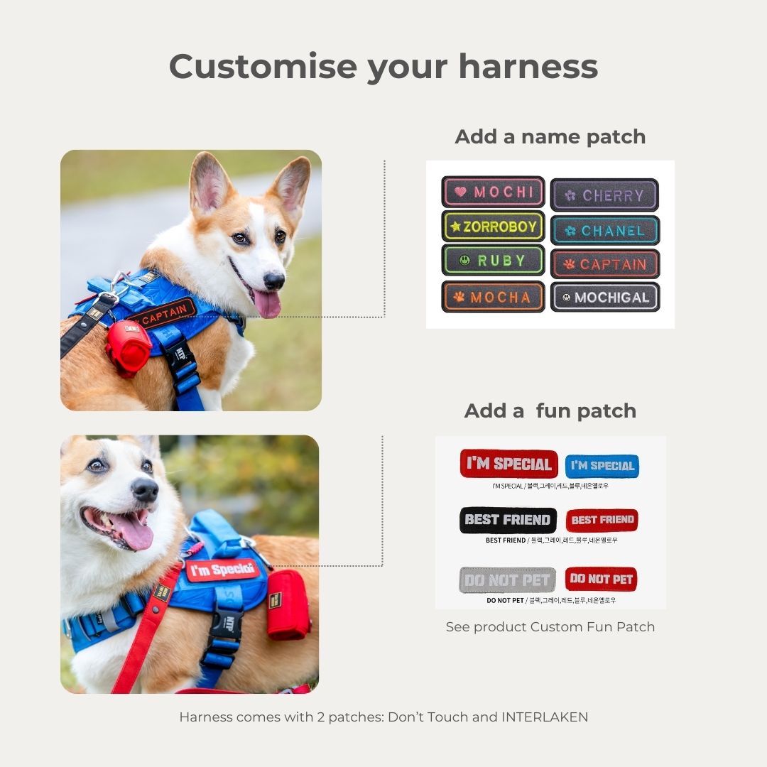No-Pull Tech Harness | Escape Proof
