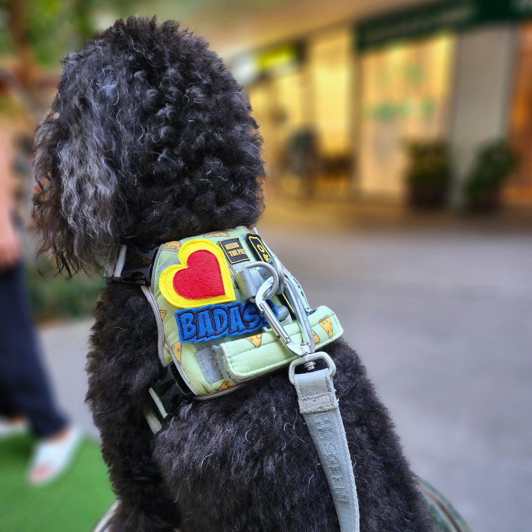 Custom Patch Series A