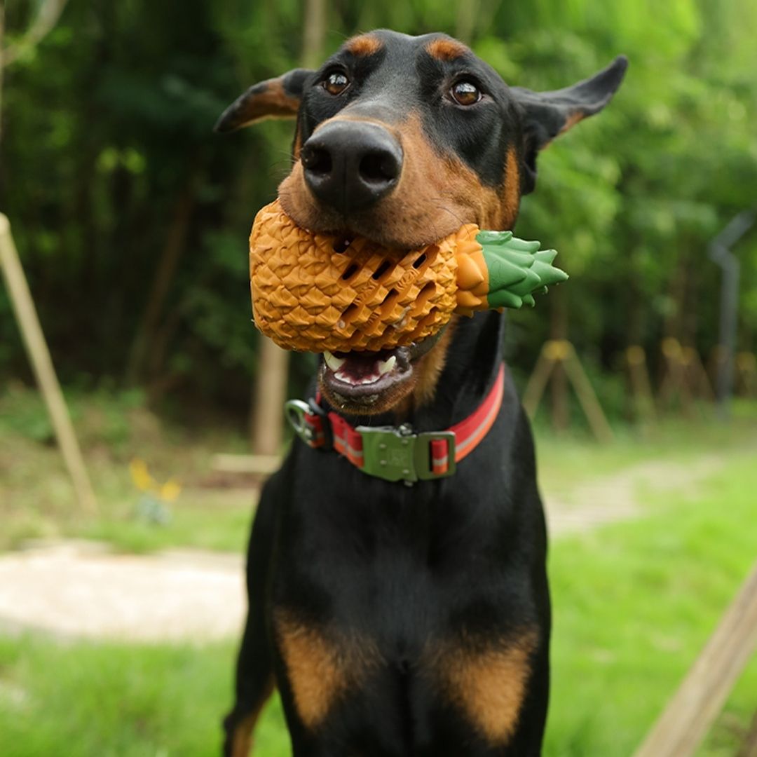 Pineapple Chew Toy | Treats Dispenser