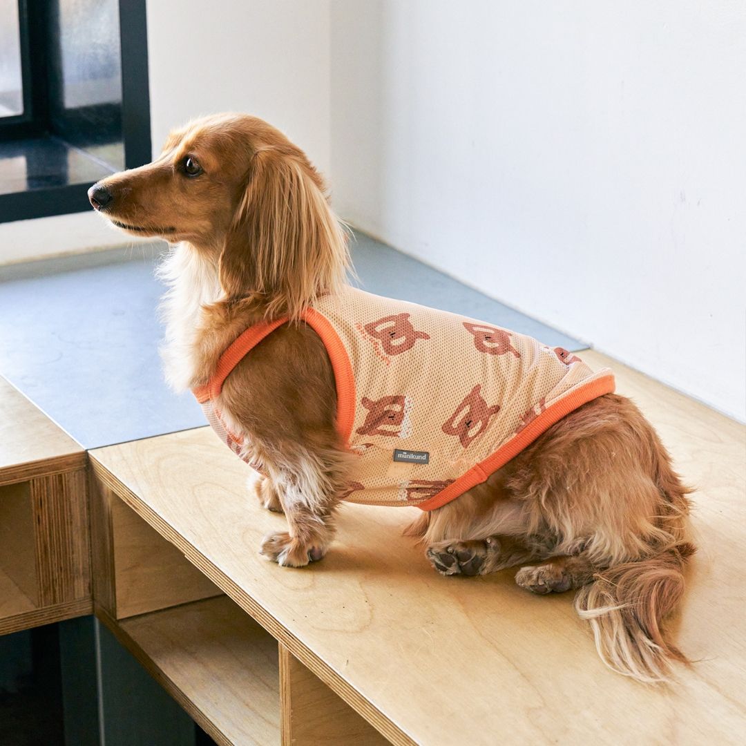 Cooling T-shirt Pretzel | Insect Shield