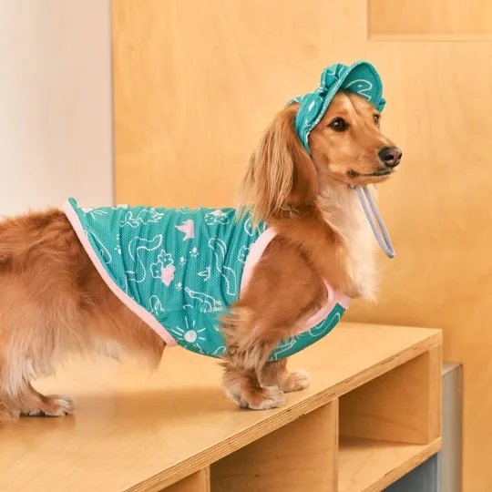 Dog wearing INTERLAKEN Reflective Dog Raincoat
