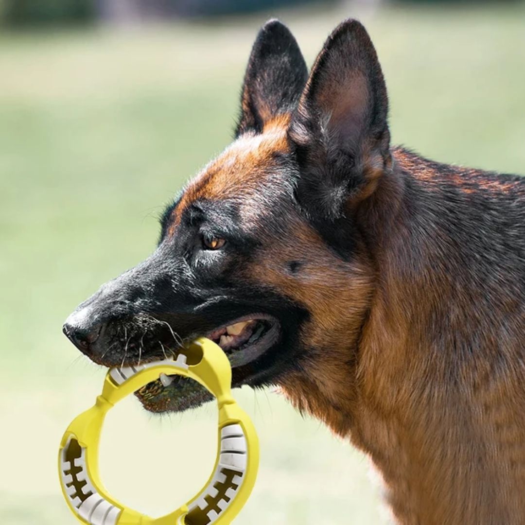 Banana Chew Toy | Treats Dispenser
