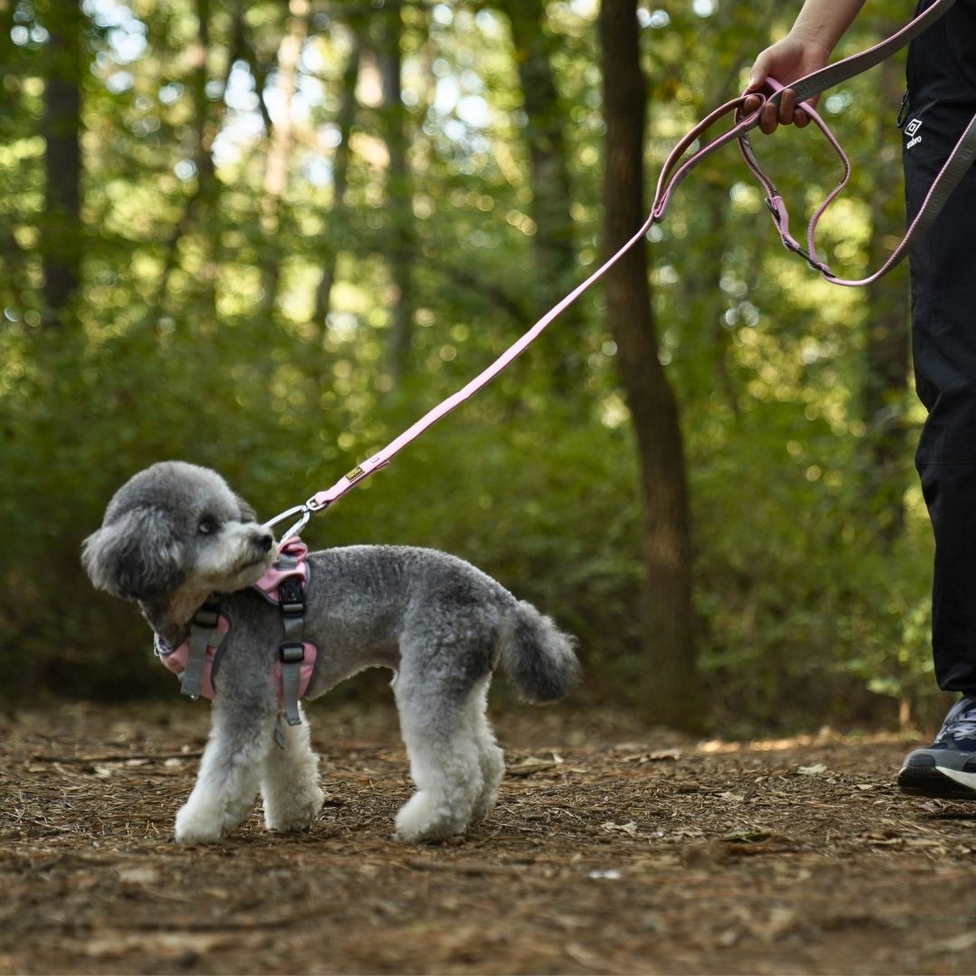 INTERLAKEN Cooling Grip Leash 2.0m
