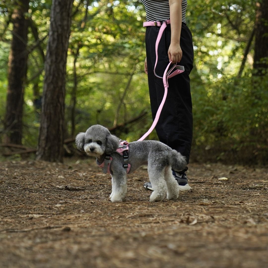 INTERLAKEN Cooling Grip Leash 2.0m
