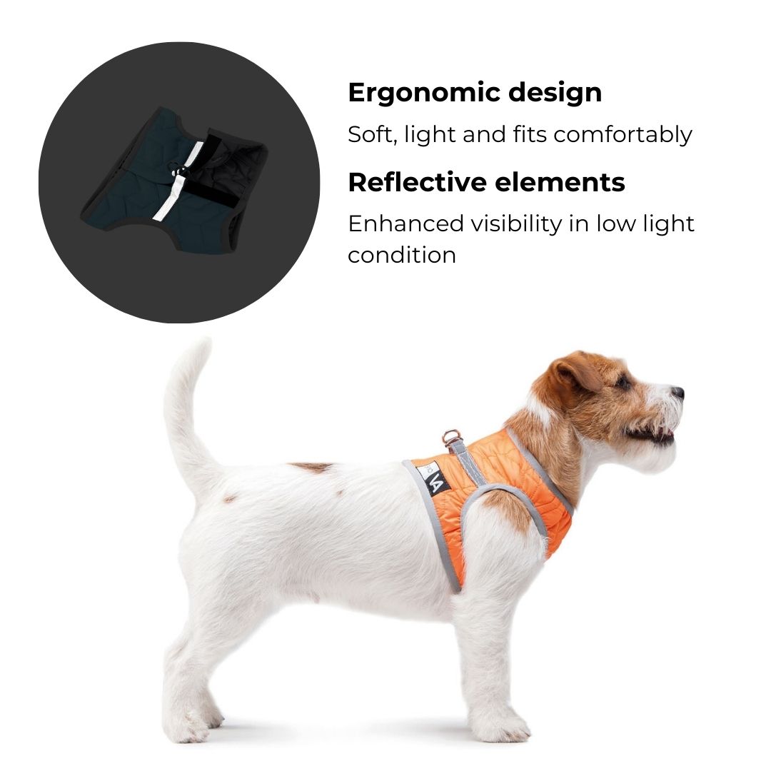 WAUDOG AiryVest ONE Harness