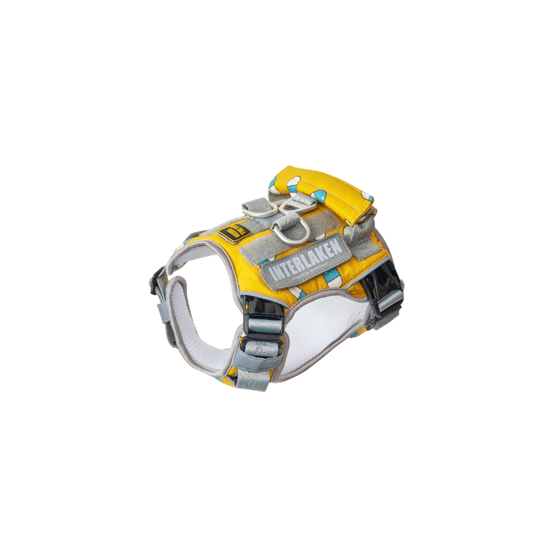 INTERLAKEN No-Pull Air Mesh Harness