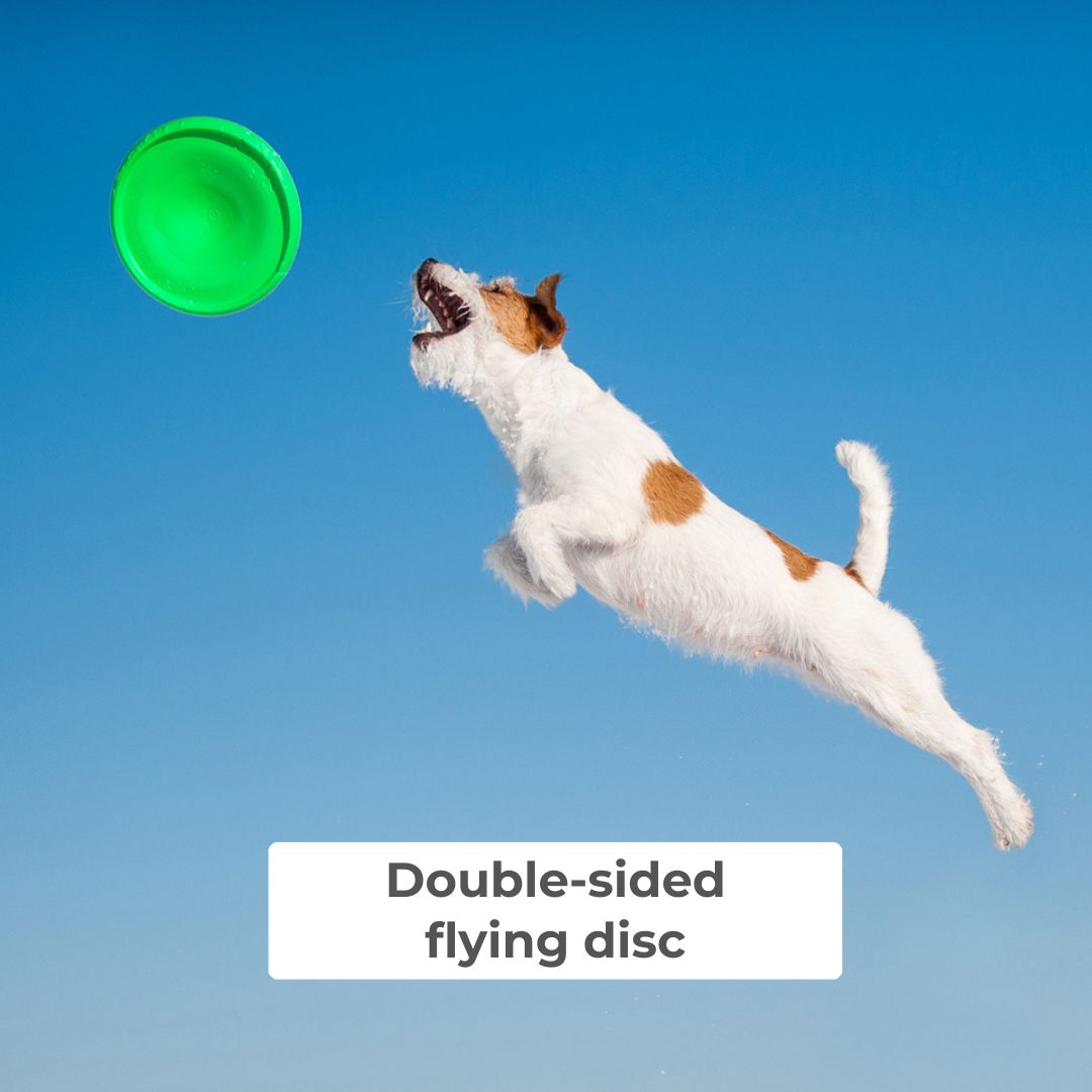 Flyber Flying Disc