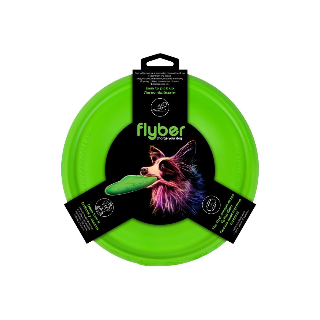 Flyber Flying Disc