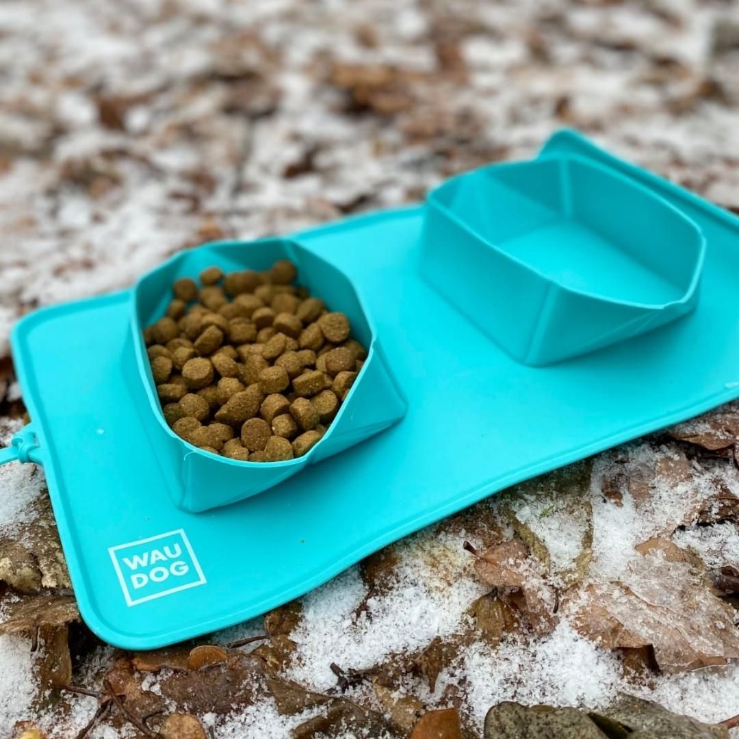 Slicone Foldable Bowl