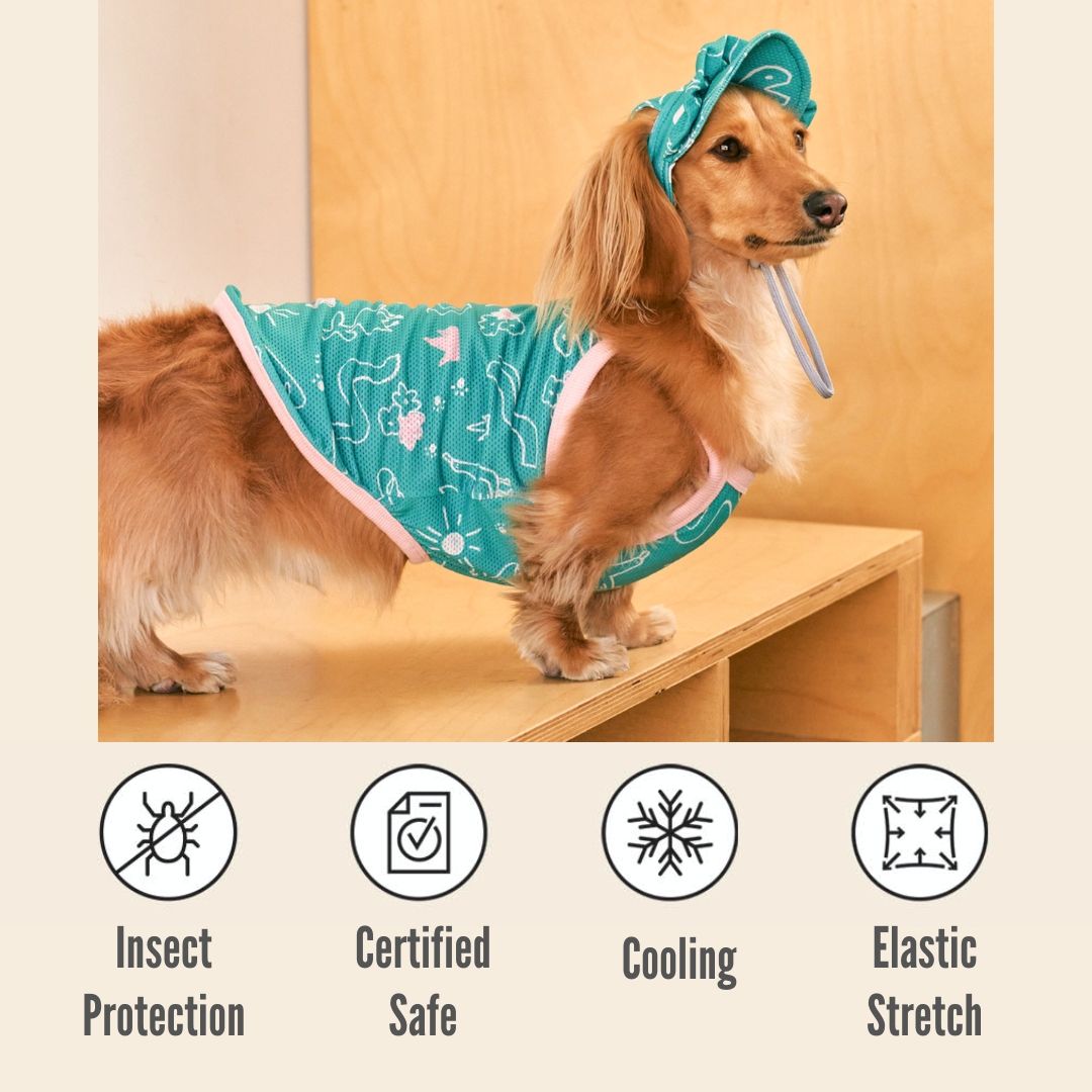 Cooling T-shirt Garden | Insect Shield