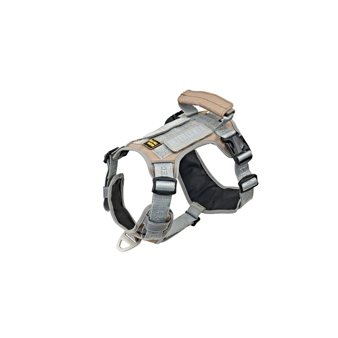 INTERLAKEN No-Pull Slim Harness