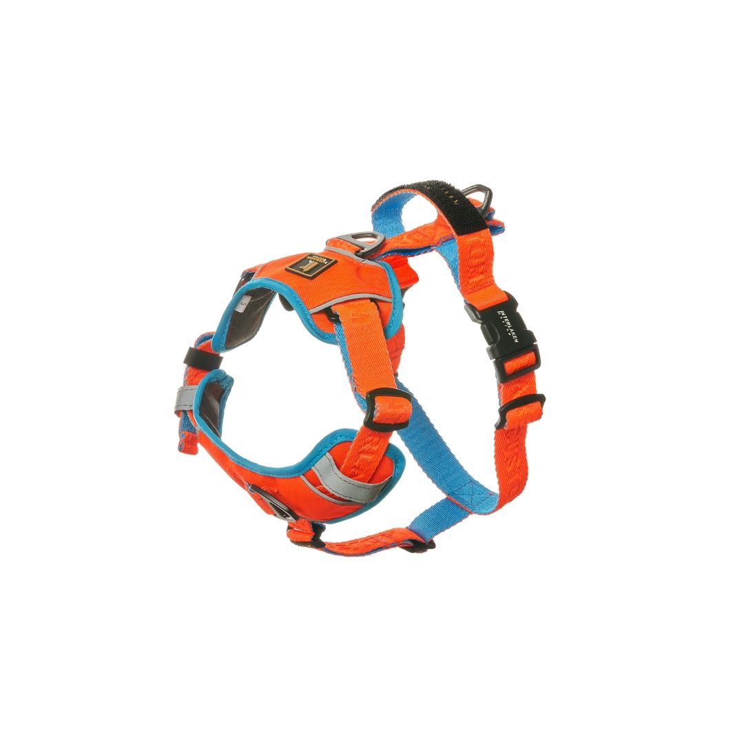 INTERLAKEN No-Pull Padded H-Harness