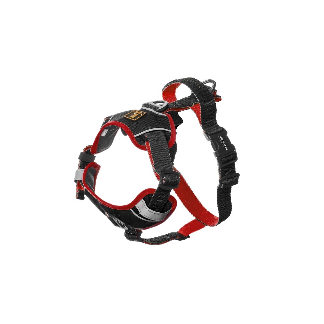 INTERLAKEN No-Pull Padded H-Harness