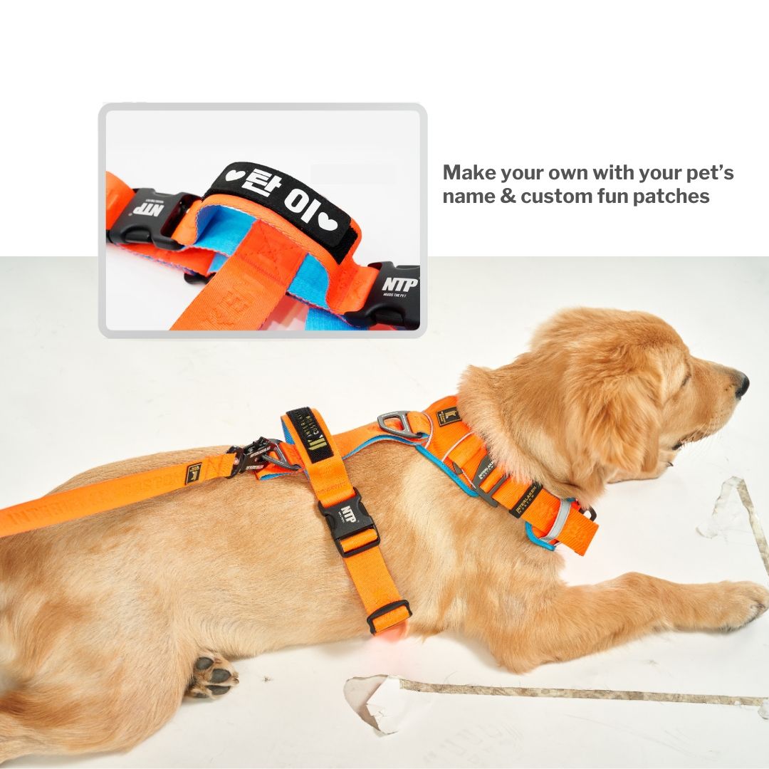 INTERLAKEN No-Pull Padded H-Harness