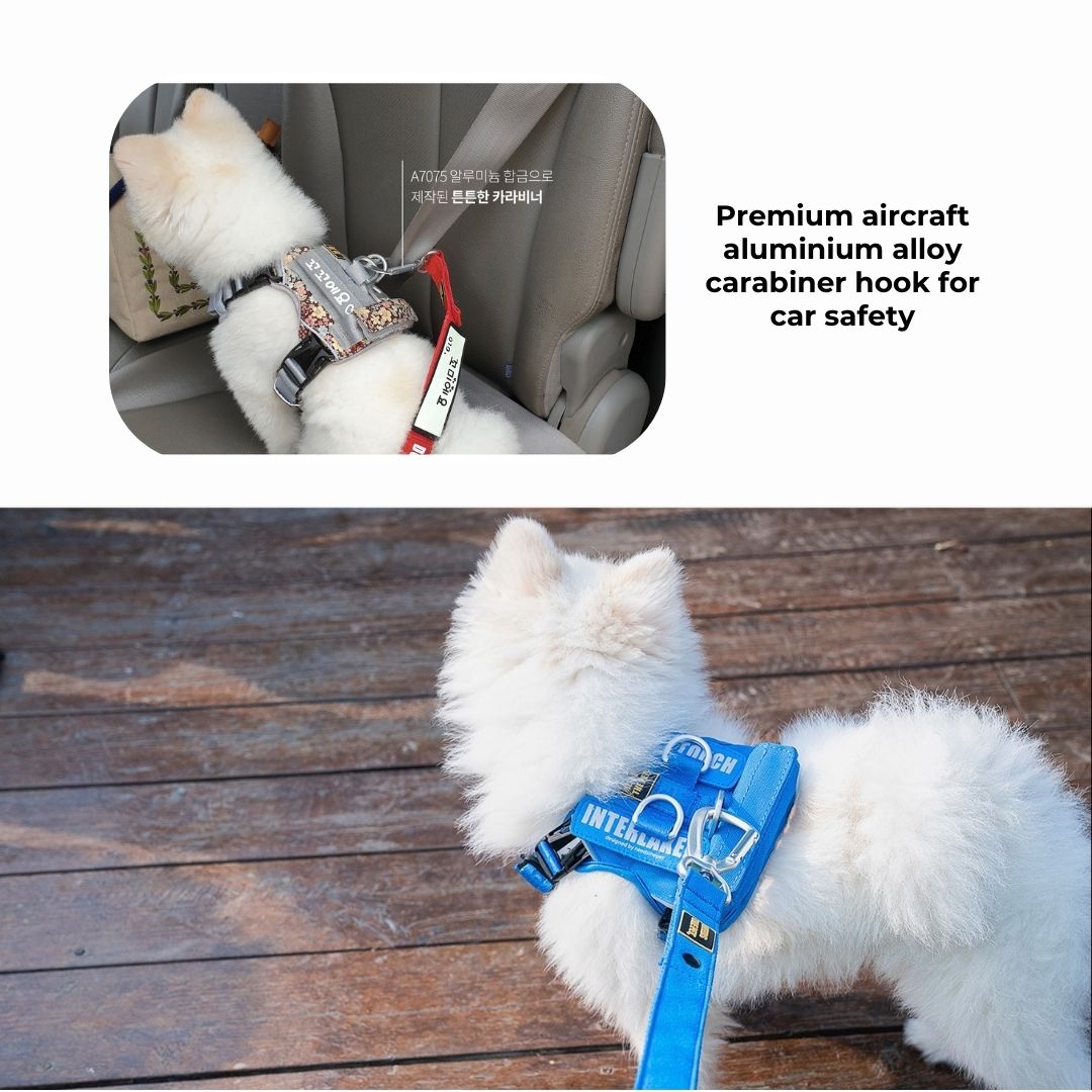 ]INTERLAKEN Handsfree Leash 2.3m | 3.3m