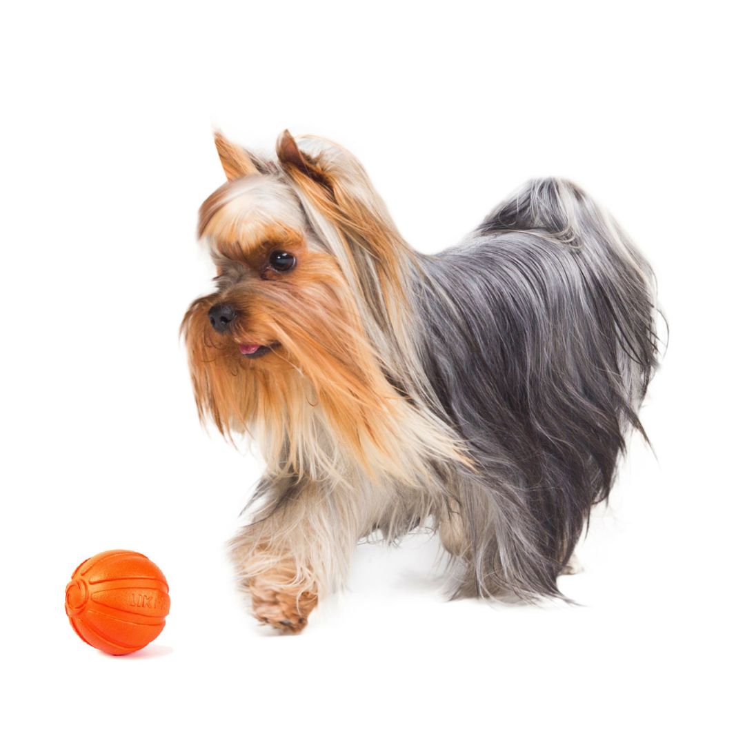 Liker Ball Toy | Floating