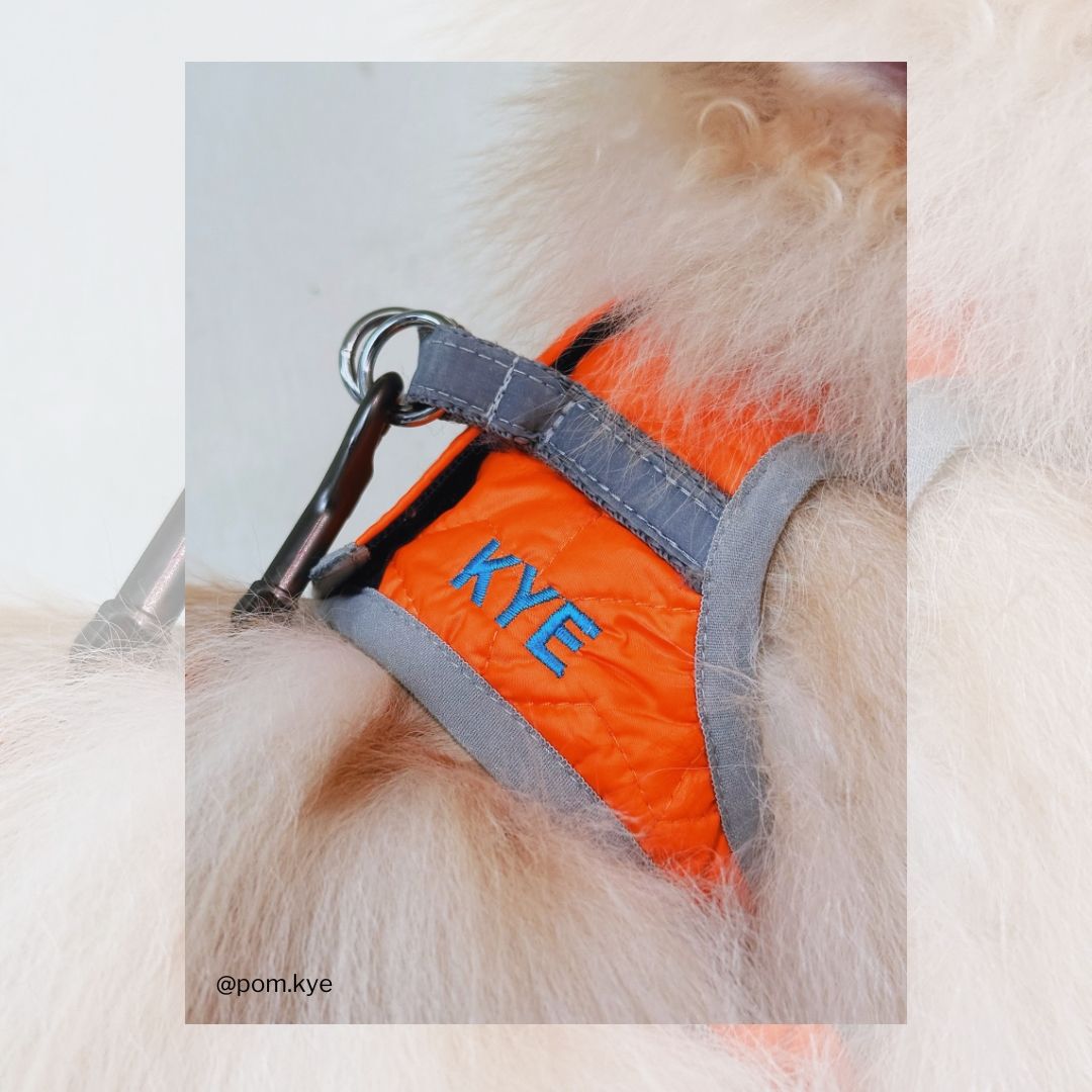 WAUDOG AiryVest ONE Harness