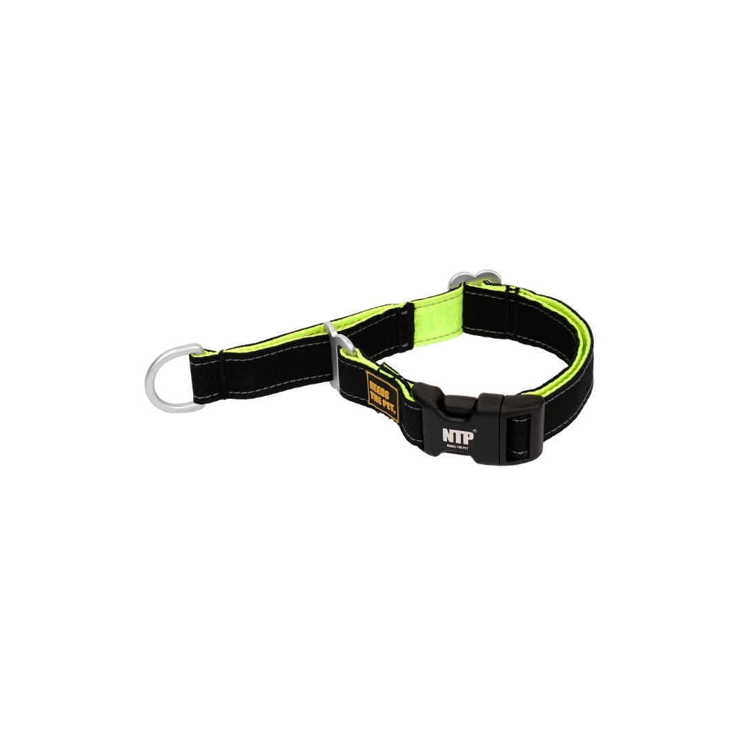 Buckle Martingale Collar