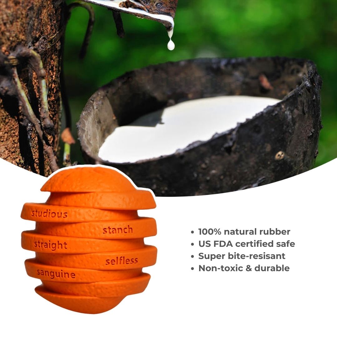 Orange Chew Toy | Treats Dispenser