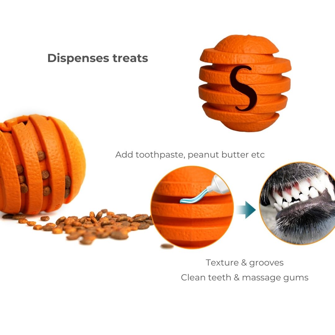 Orange Chew Toy | Treats Dispenser