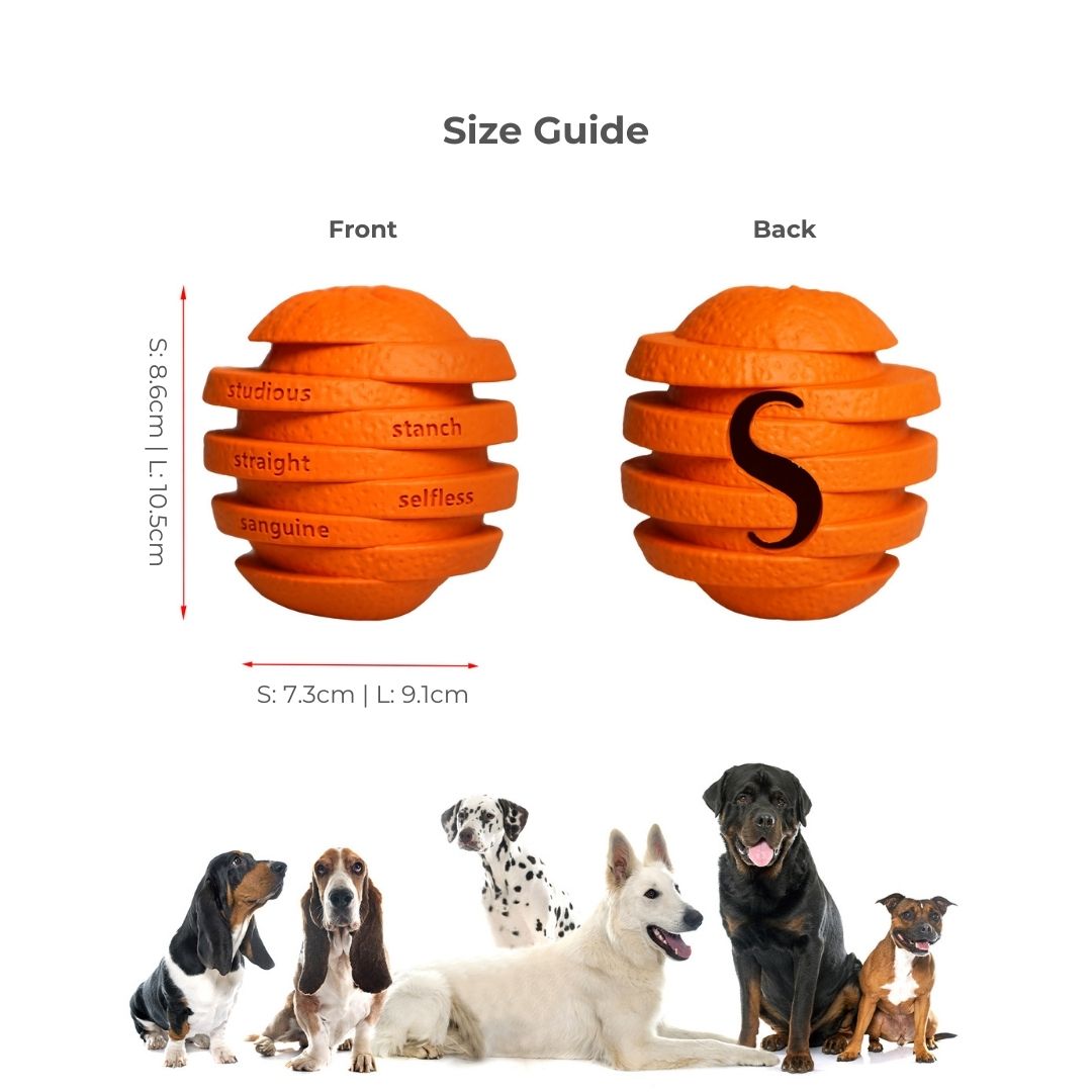 Orange Chew Toy | Treats Dispenser