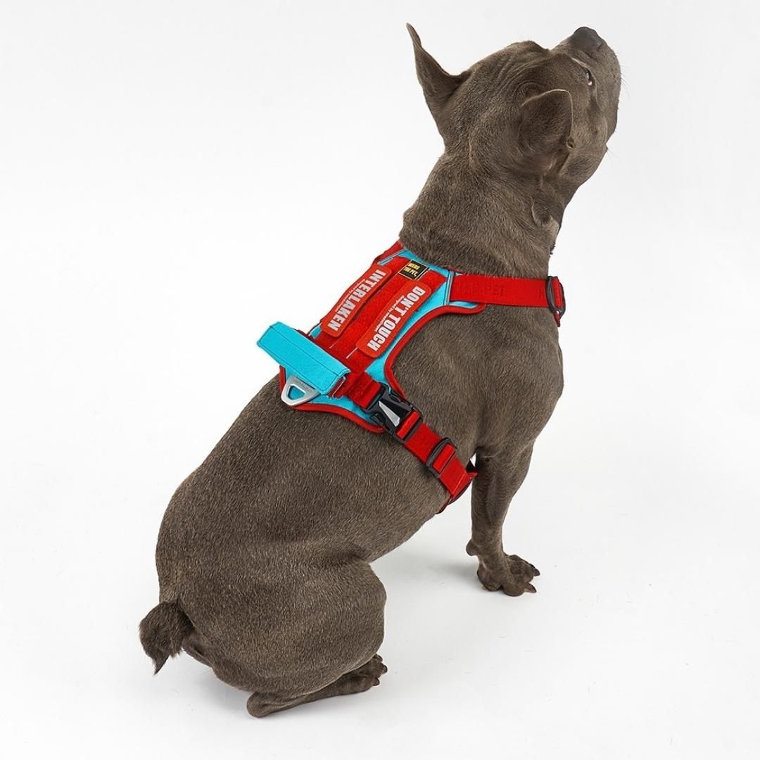 No-Pull Slim Harness