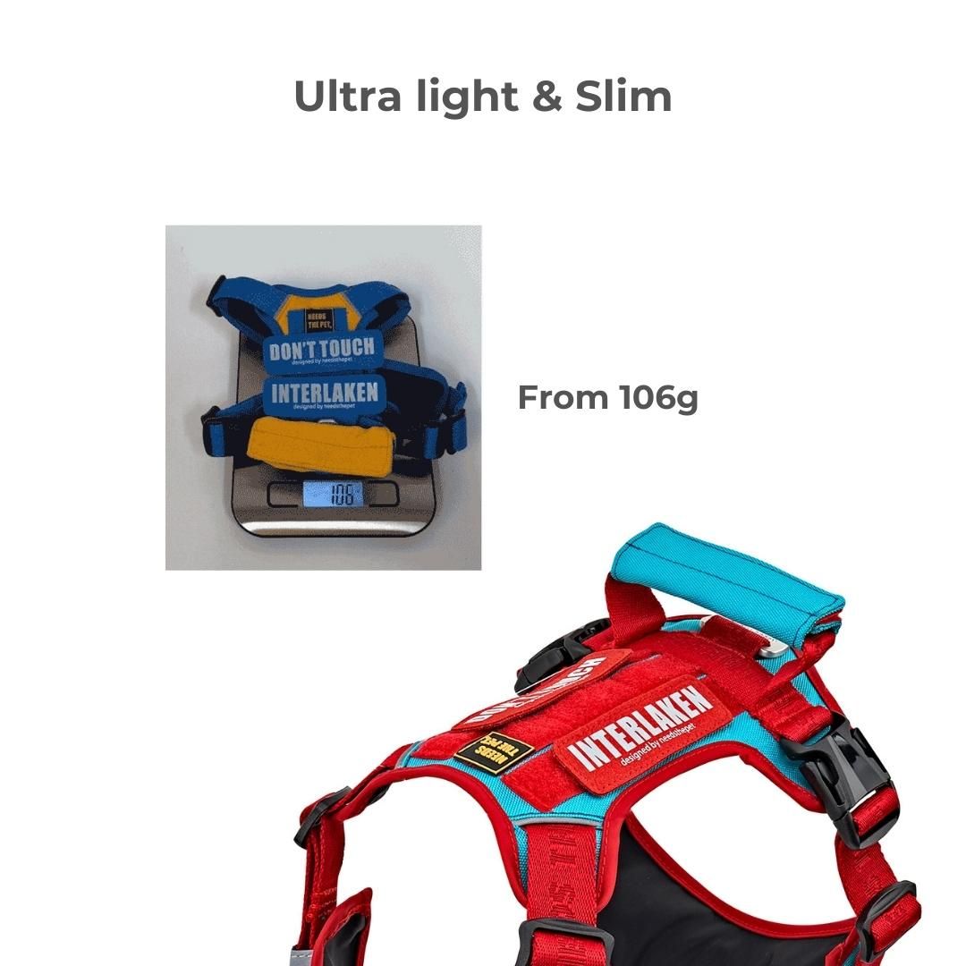 No-Pull Slim Harness