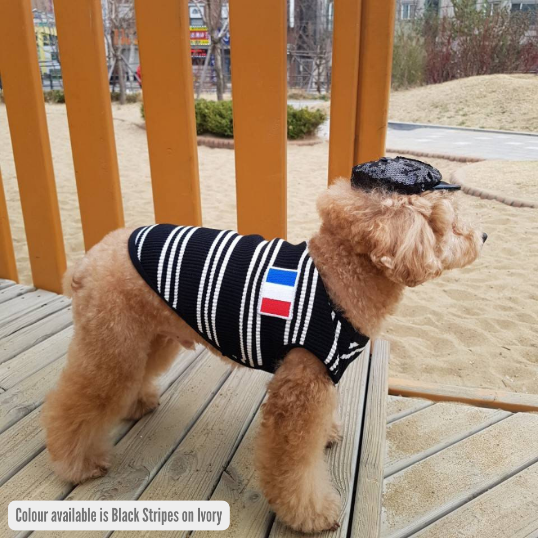 Dog wearing V Stripe T-Shirt