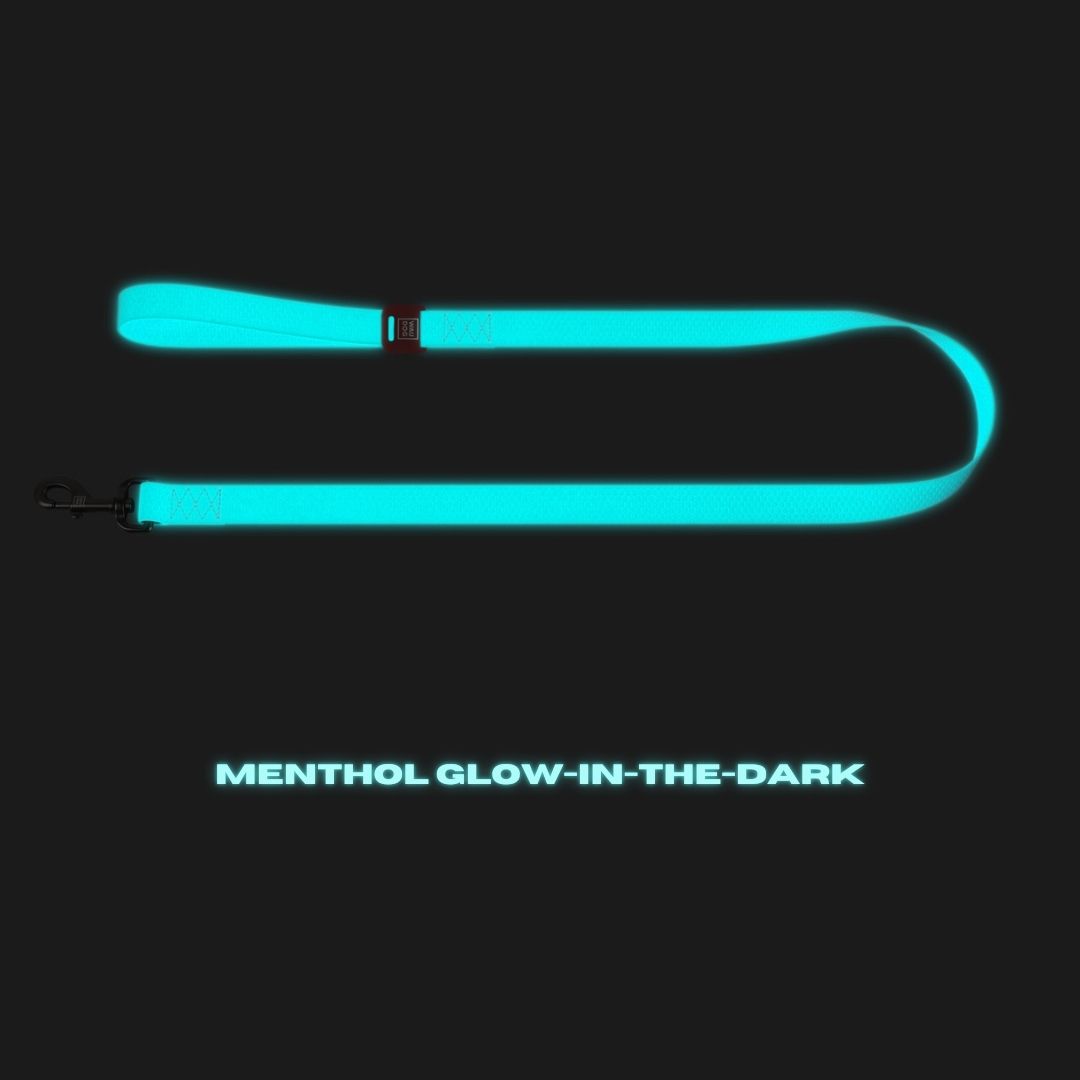 WAUDOG Waterproof Leash | Glow in the Dark