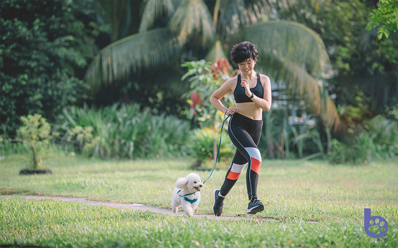 Women  With Short Hair Female With Her Pet Dog 