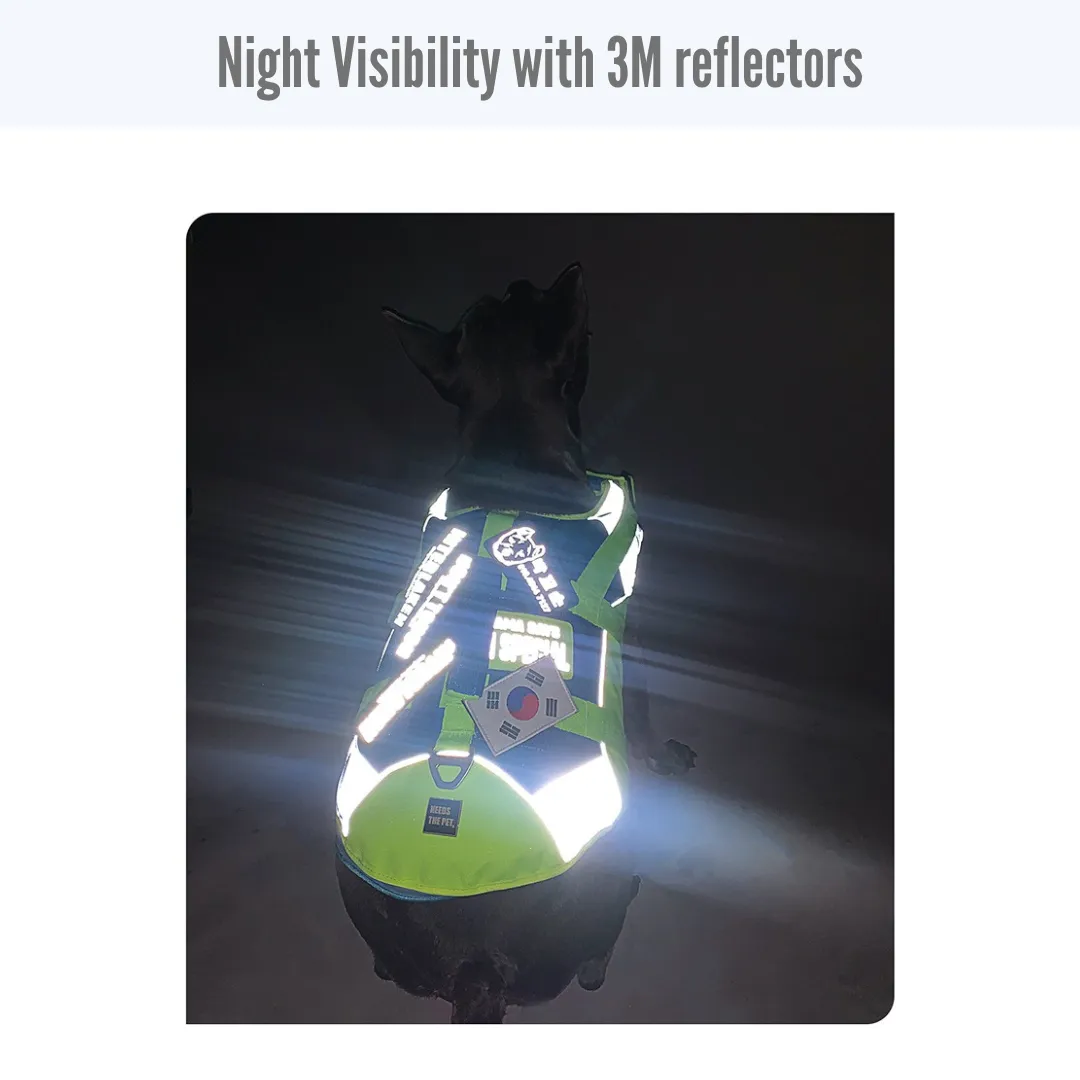 dog life  jacket bright colours