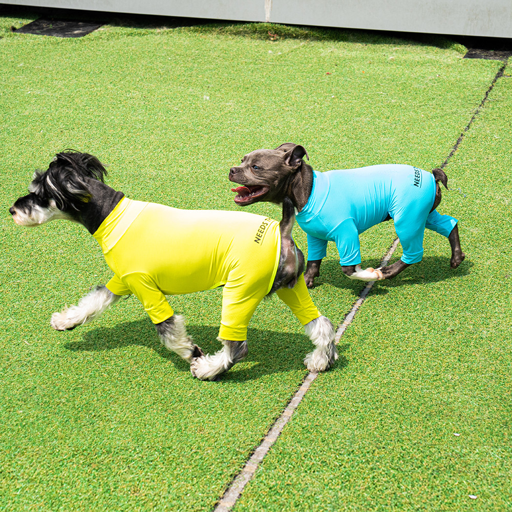 Dog running in NTP Sun Protection Suit
