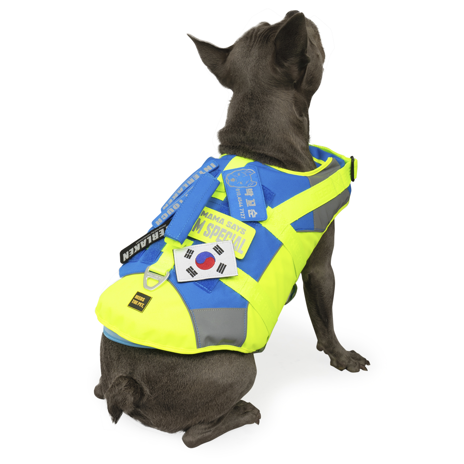 Dog wearing INTERLAKEN Dog Life Jacket