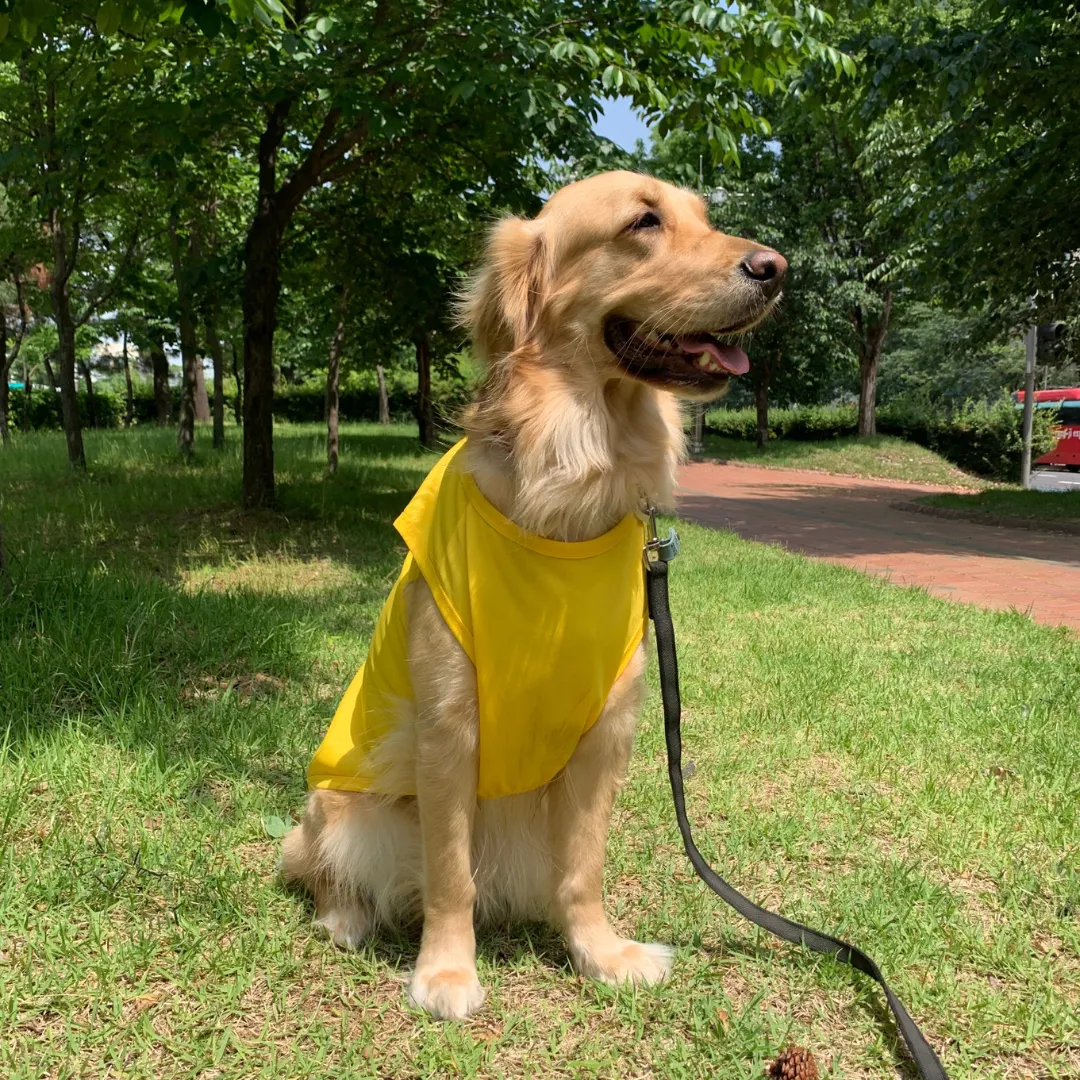 Dog wearing Macaron Cool Vest
