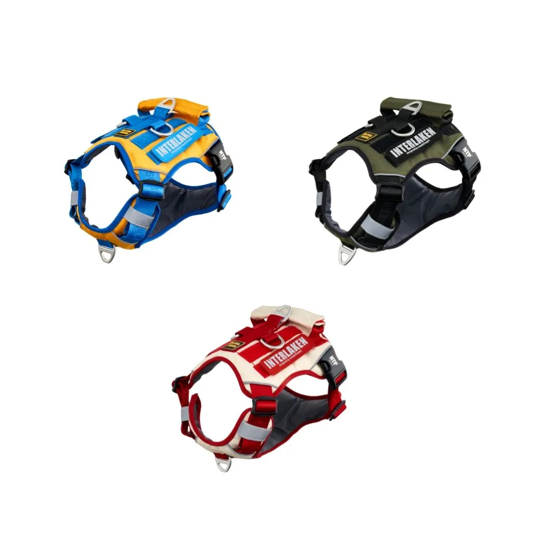 INTERLAKEN No-Pull Custom Dog Harness