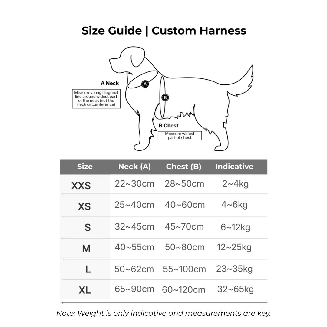 INTERLAKEN No-Pull Custom Dog and Cat Harness