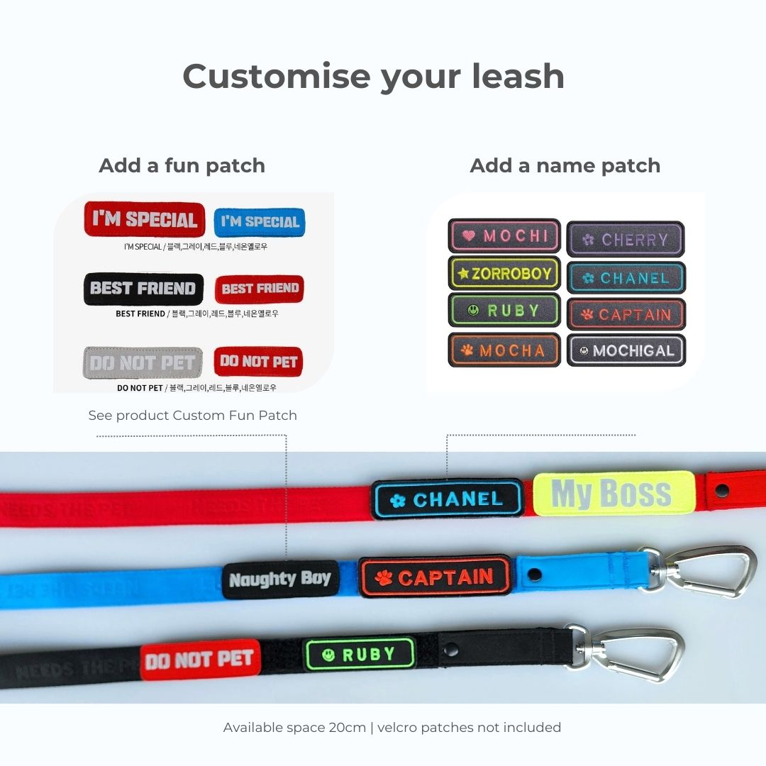 Handsfree Leash cum Car Seat Belt